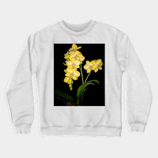 Yellow Mini Orchid Crewneck Sweatshirt